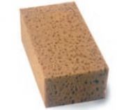 esponja para pinza